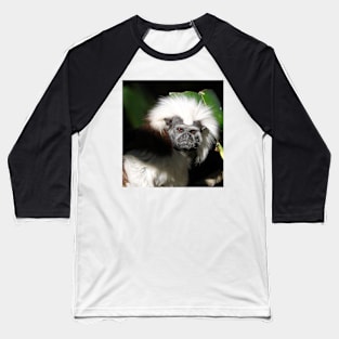 Cotton-top Tamarin Baseball T-Shirt